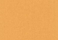 Sweat-Jersey kbA, angeraut "Kurkuma"